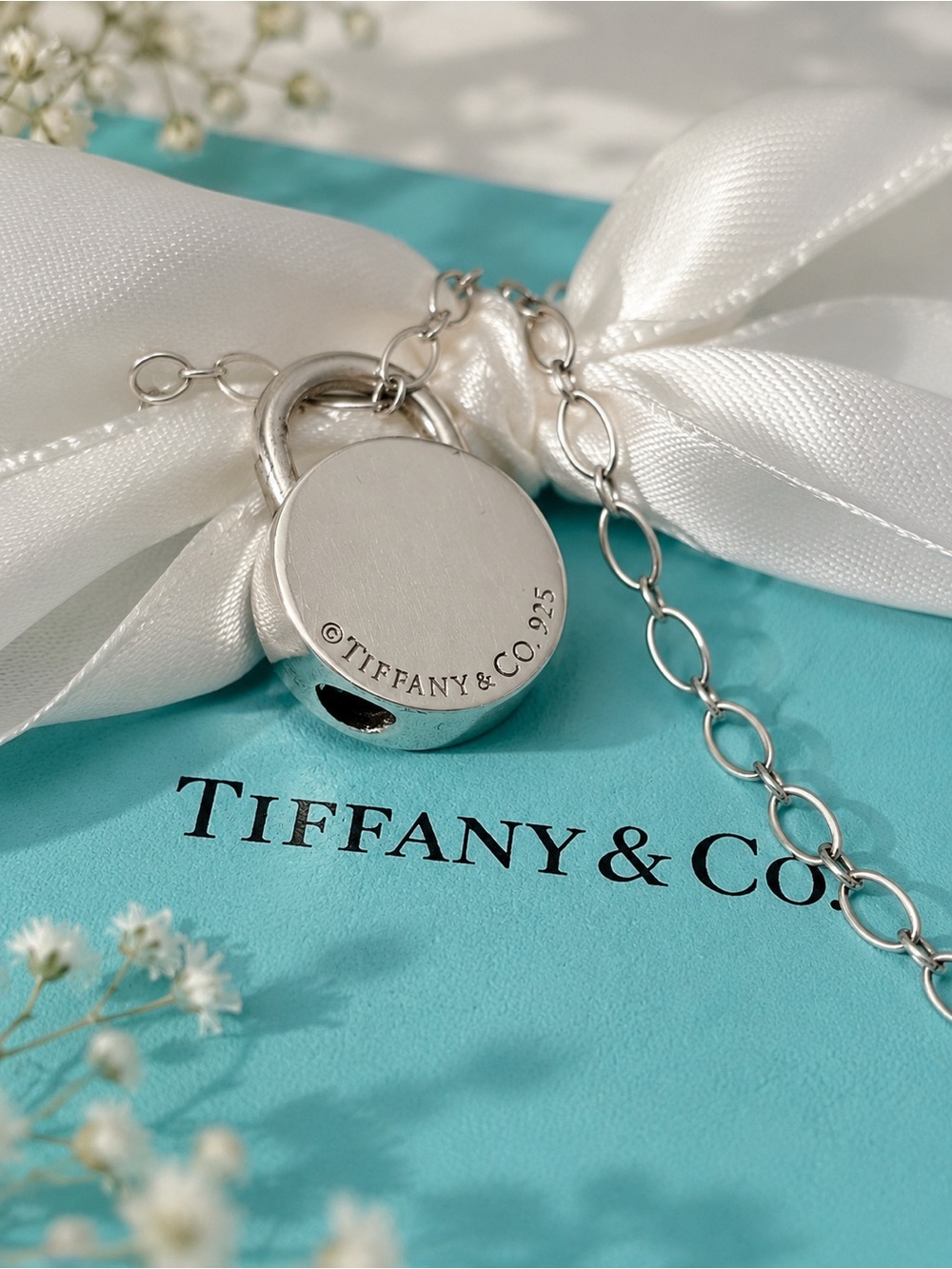 Authentic Tiffany & Co Opening Round Padlock on 16” Oval Link Chain